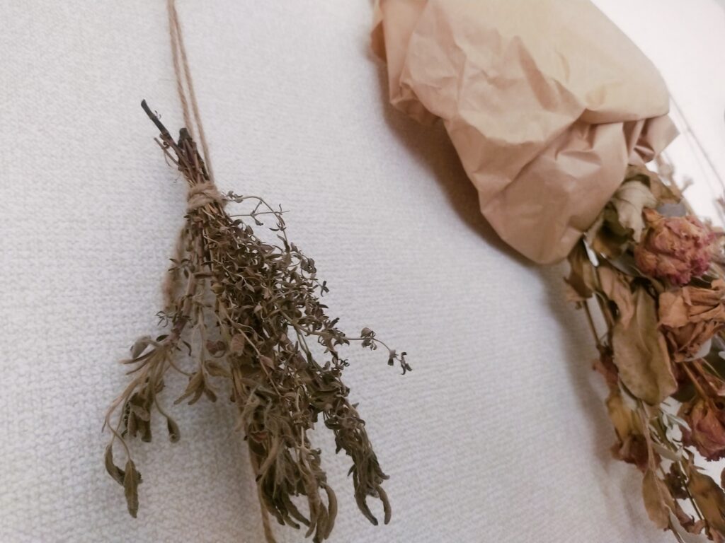 花画像