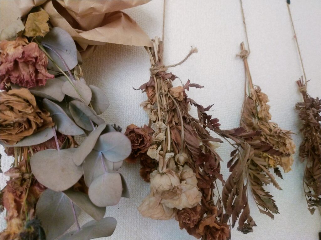 花画像